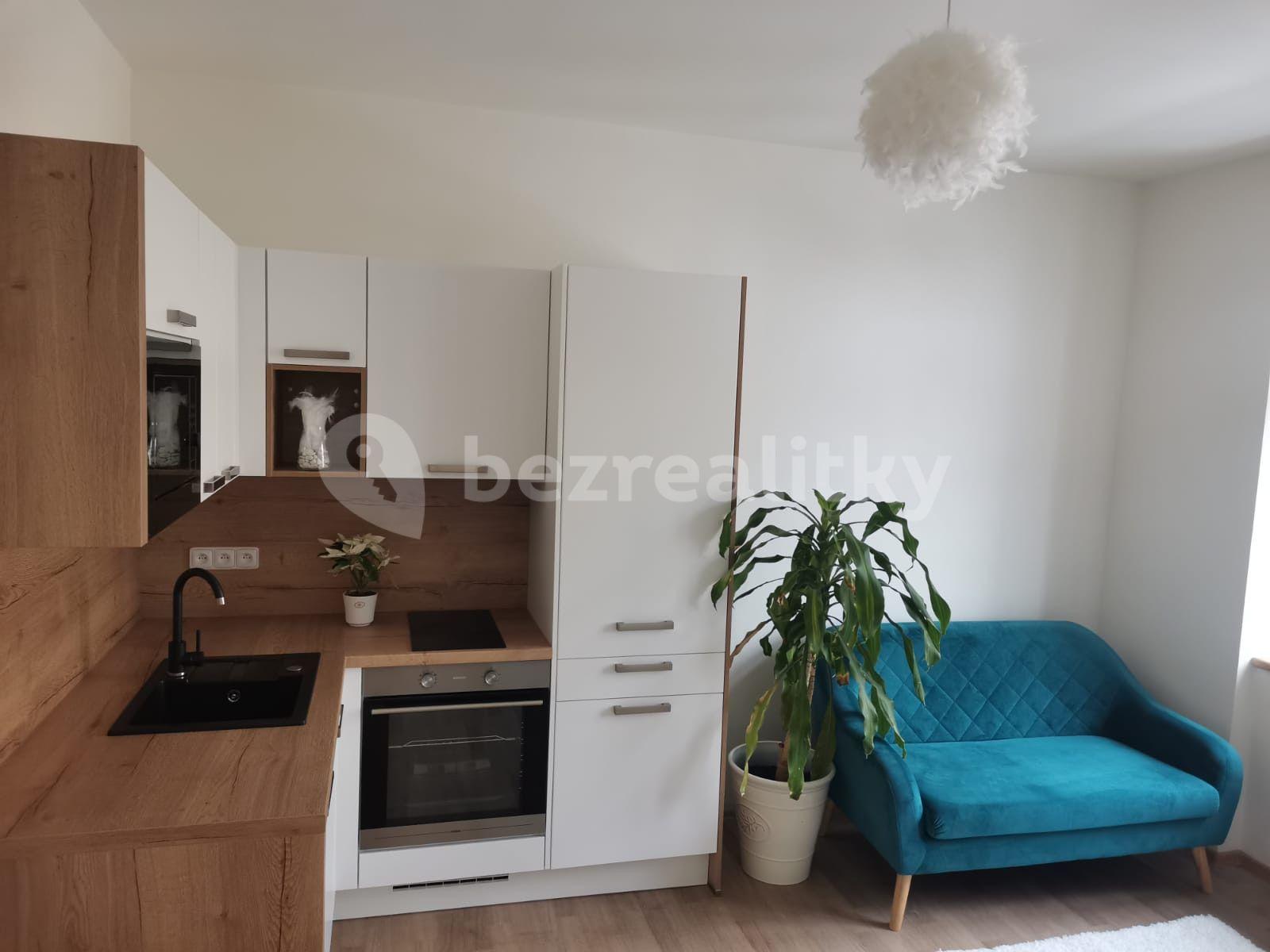 Pronájem bytu 2+kk 40 m², Svatoplukova, Brno, Jihomoravský kraj