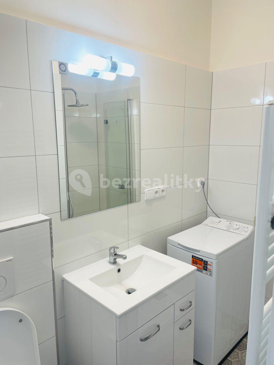 Pronájem bytu 1+kk 16 m², Újezd, Praha, Praha