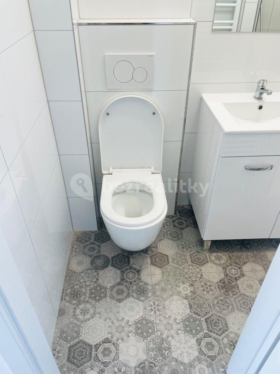 Pronájem bytu 1+kk 16 m², Újezd, Praha, Praha