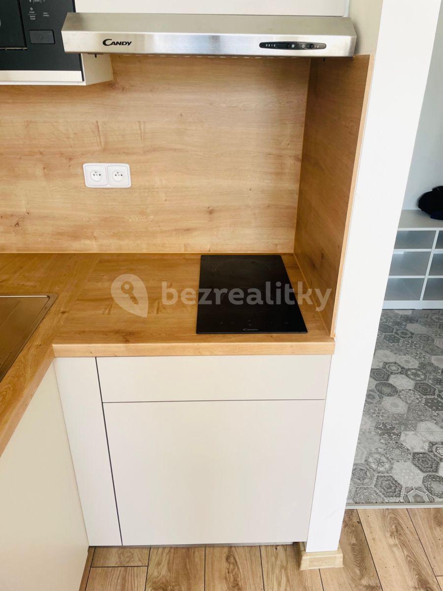 Pronájem bytu 1+kk 16 m², Újezd, Praha, Praha