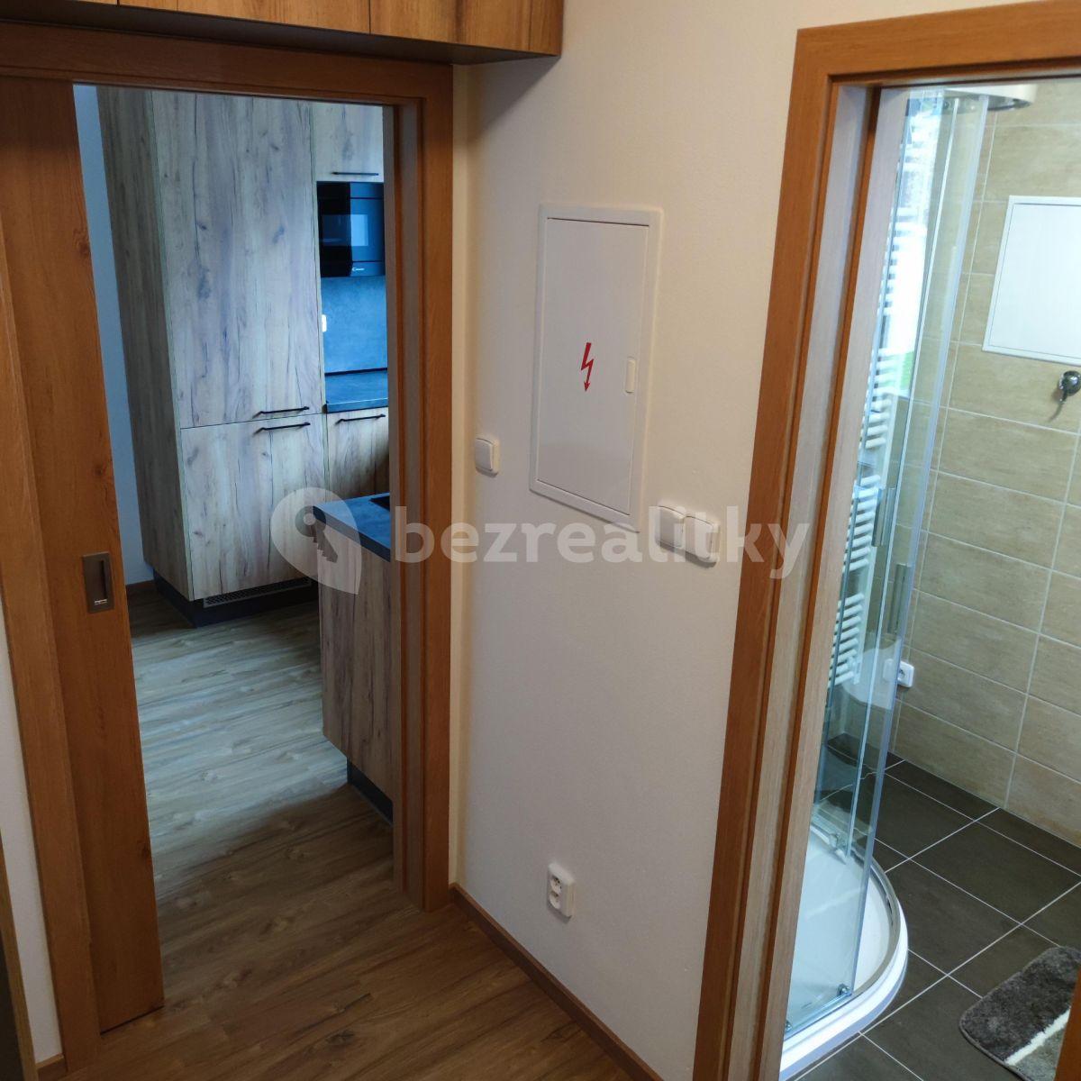 Pronájem bytu 1+1 34 m², Kařez, Plzeňský kraj