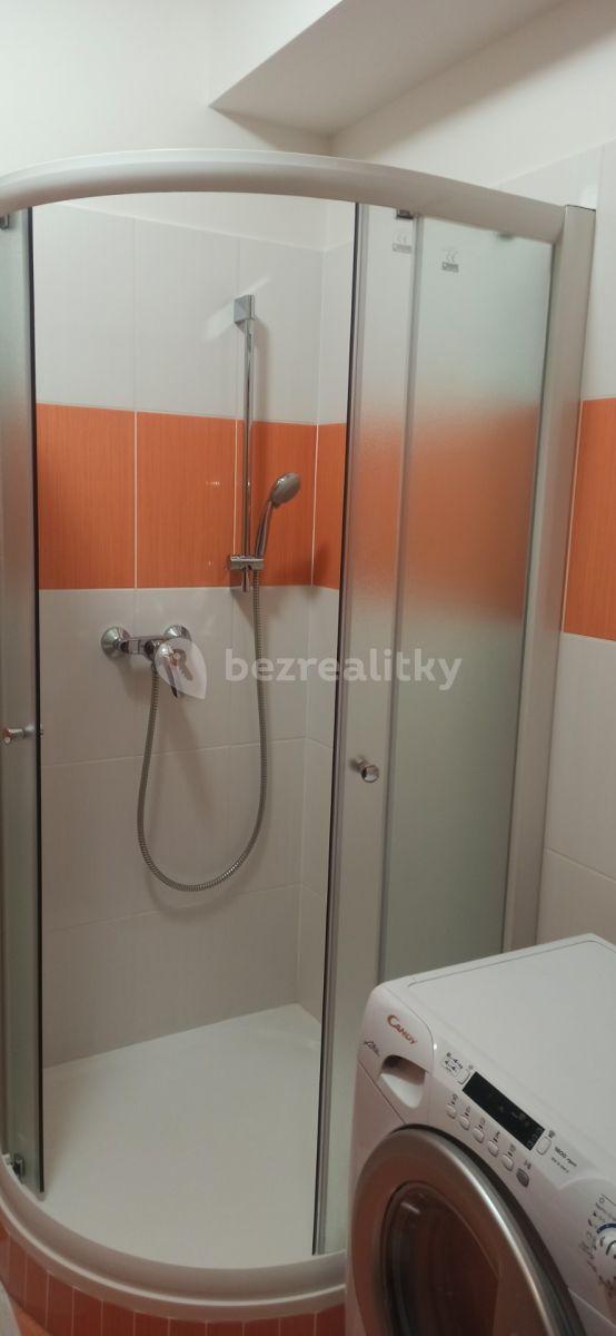 Pronájem bytu 1+kk 31 m², Farkašova, Praha, Praha