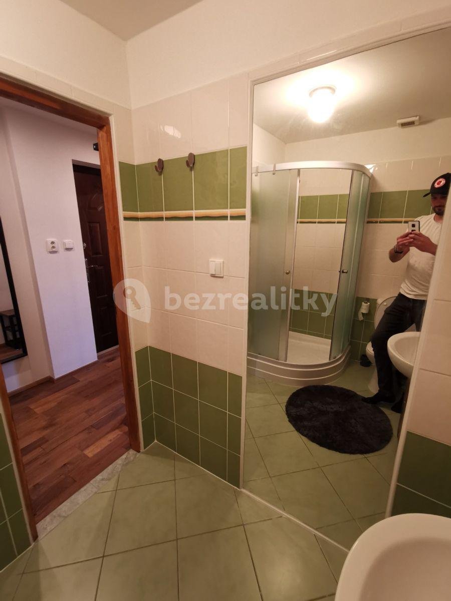 Prodej bytu 1+kk 26 m², Janův Důl, Liberecký kraj