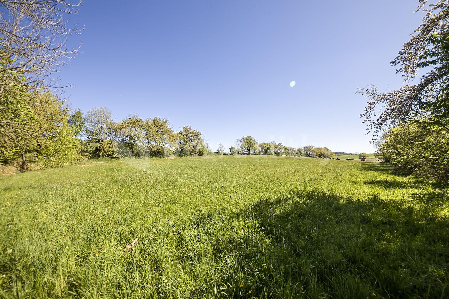 Prodej pozemku 2.322 m², Bořetice, Neustupov, Středočeský kraj