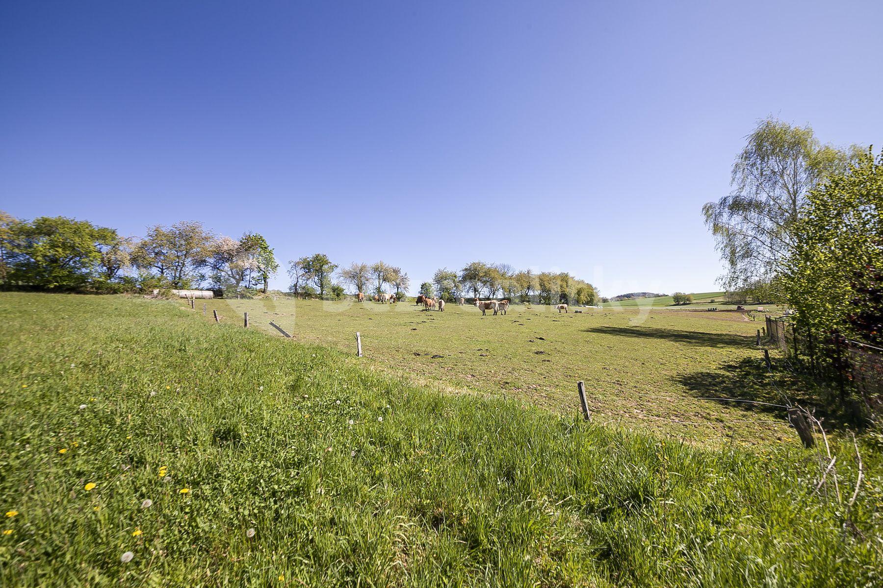 Prodej pozemku 2.322 m², Bořetice, Neustupov, Středočeský kraj