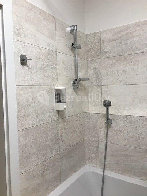 Pronájem bytu 2+kk 59 m², U Mlýnského kanálu, Praha, Praha