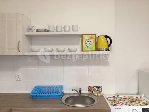 Pronájem bytu 2+kk 58 m², Ruská, Teplice, Ústecký kraj