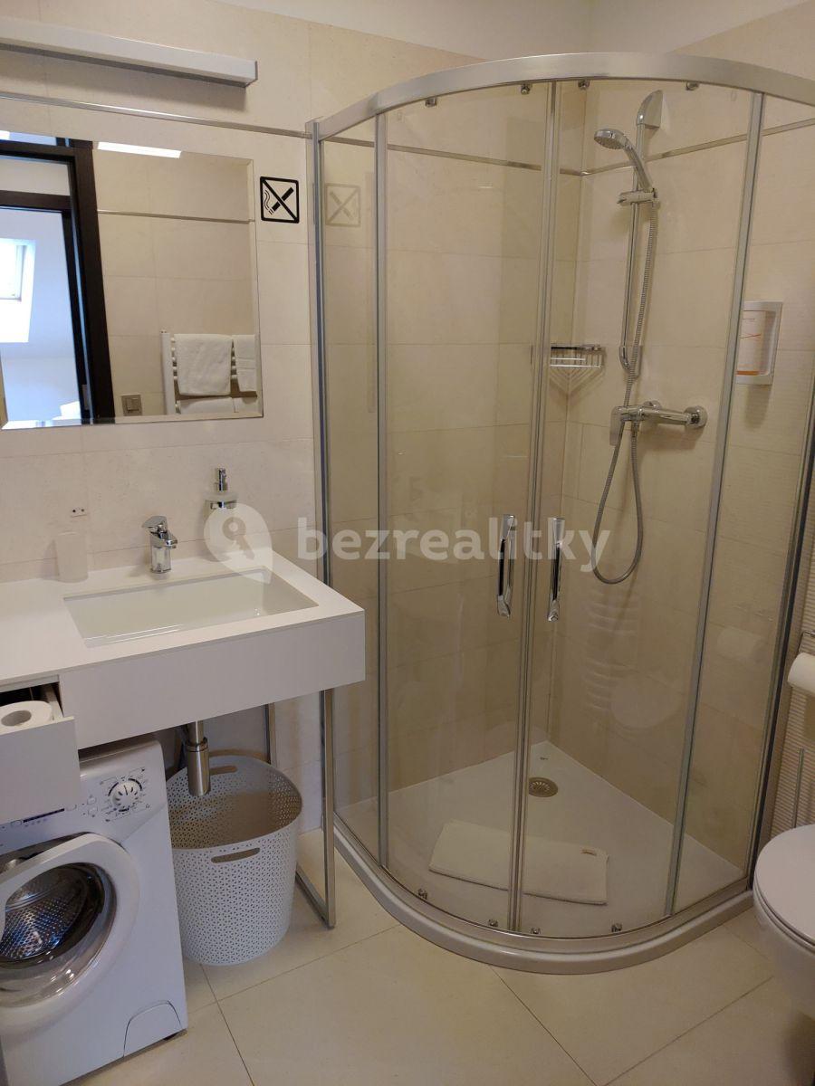 Pronájem bytu 1+kk 20 m², Legerova, Praha, Praha