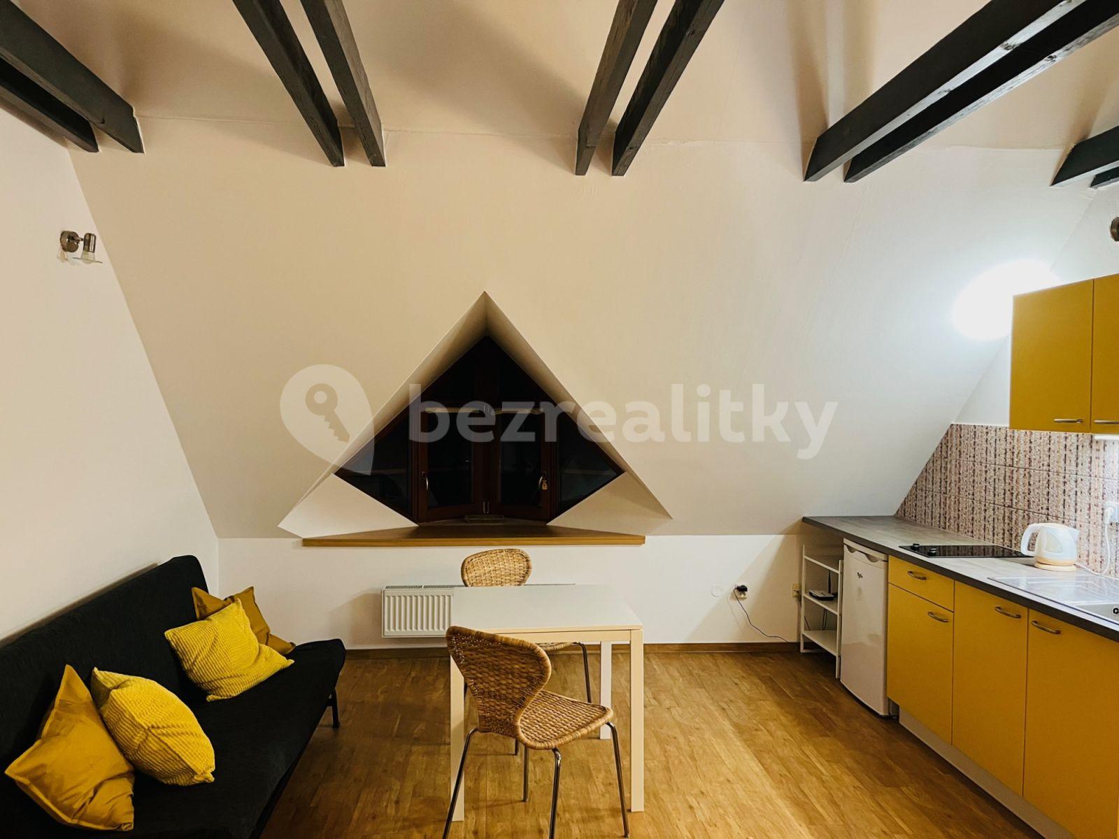 Pronájem bytu 1+kk 32 m², Červený kopec A, Brno, Jihomoravský kraj