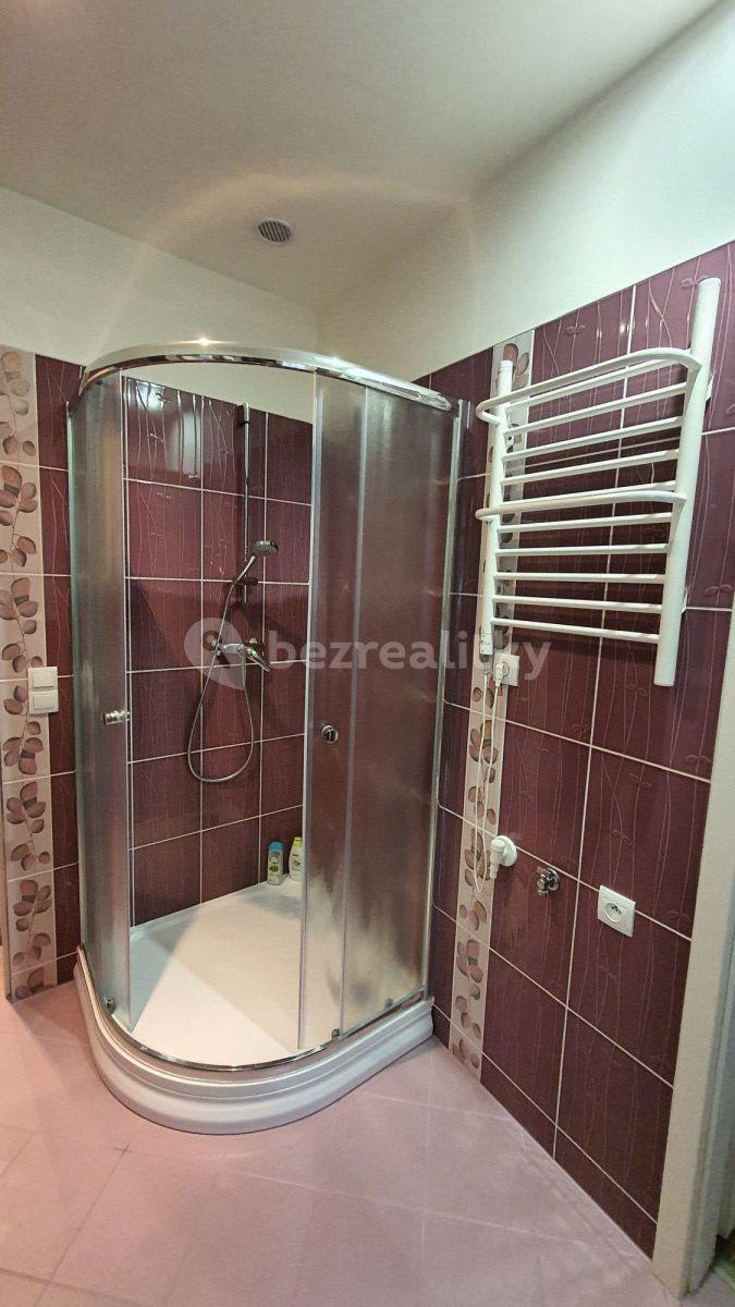 Pronájem bytu 2+1 45 m², Sportovní, Praha, Praha