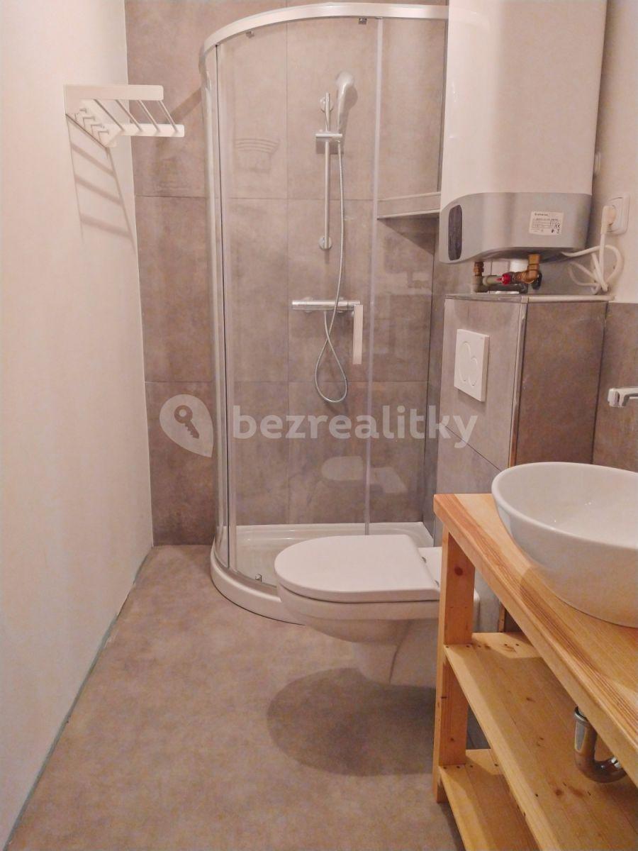 Pronájem bytu 1+kk 20 m², Mokřanská, Praha, Praha