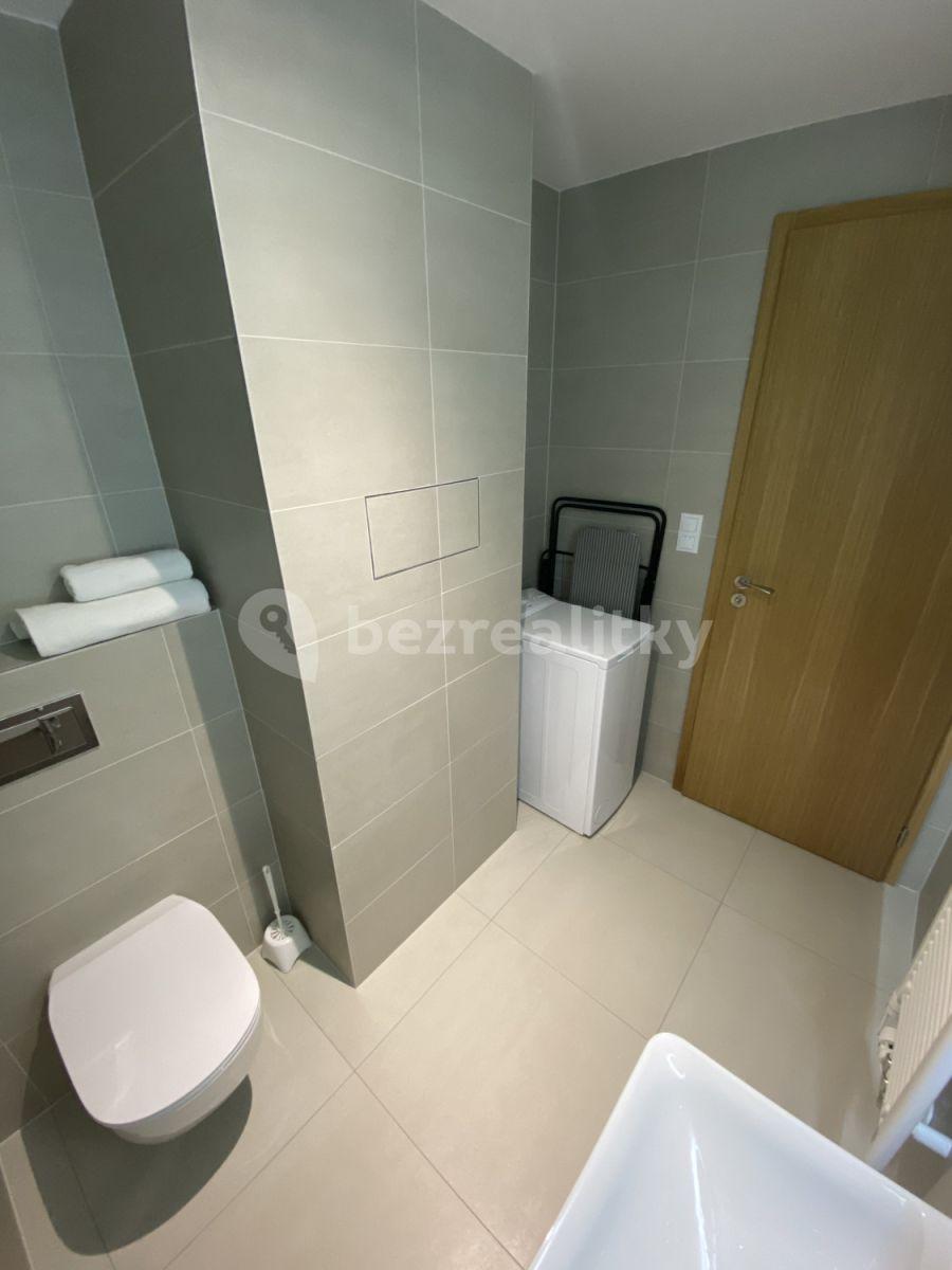 Pronájem bytu 1+kk 32 m², U Průhonu b, Praha, Praha