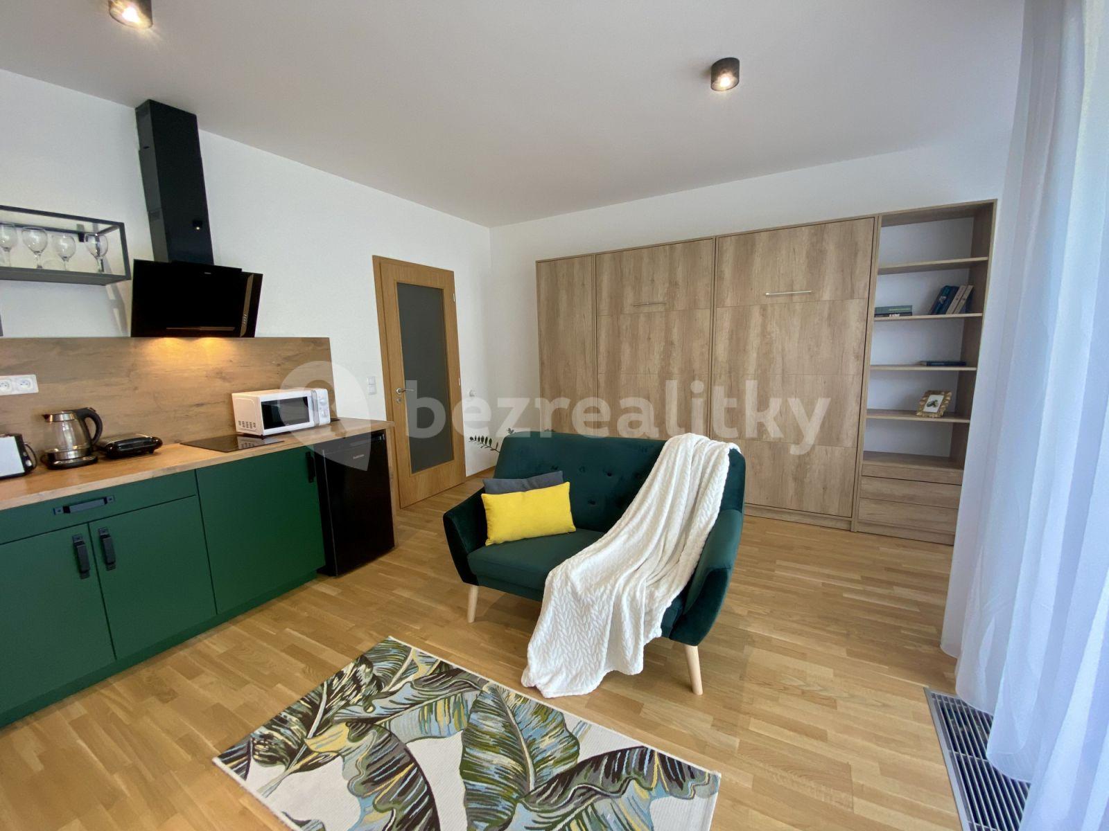 Pronájem bytu 1+kk 32 m², U Průhonu b, Praha, Praha