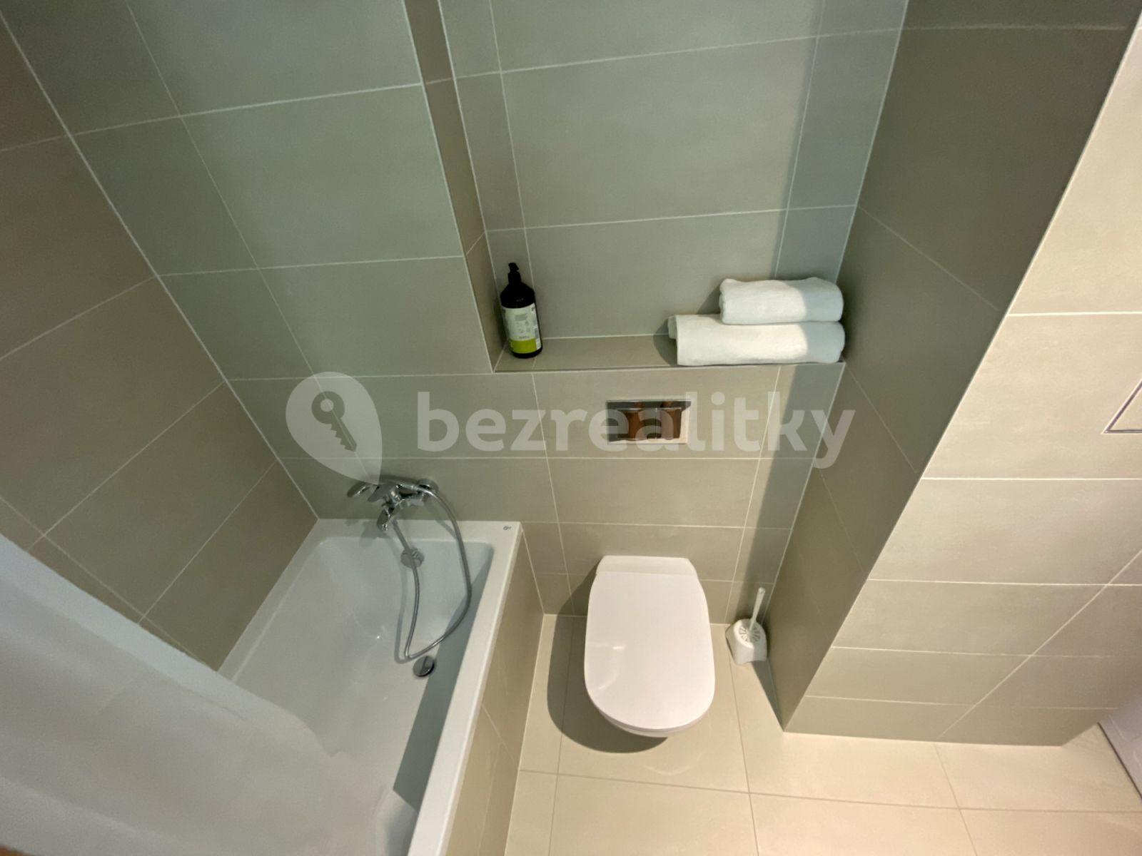 Pronájem bytu 1+kk 32 m², U Průhonu b, Praha, Praha