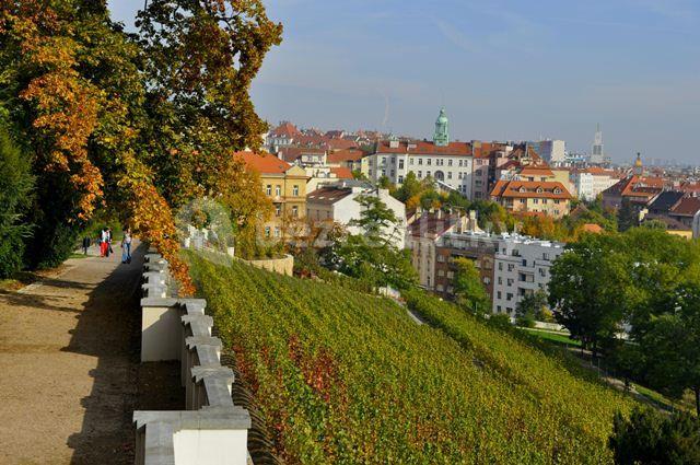 Pronájem bytu 2+1 60 m², Lublaňská, Praha, Praha