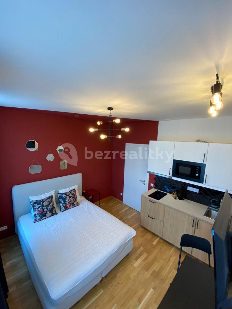 Pronájem bytu 1+kk 24 m², Tyršova, Praha, Praha