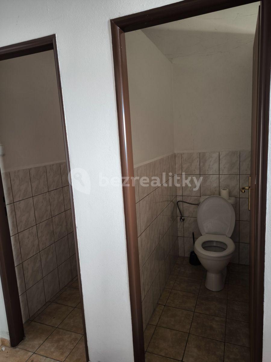 Pronájem nebytového prostoru 220 m², Boleslavská, Sobotka, Královéhradecký kraj