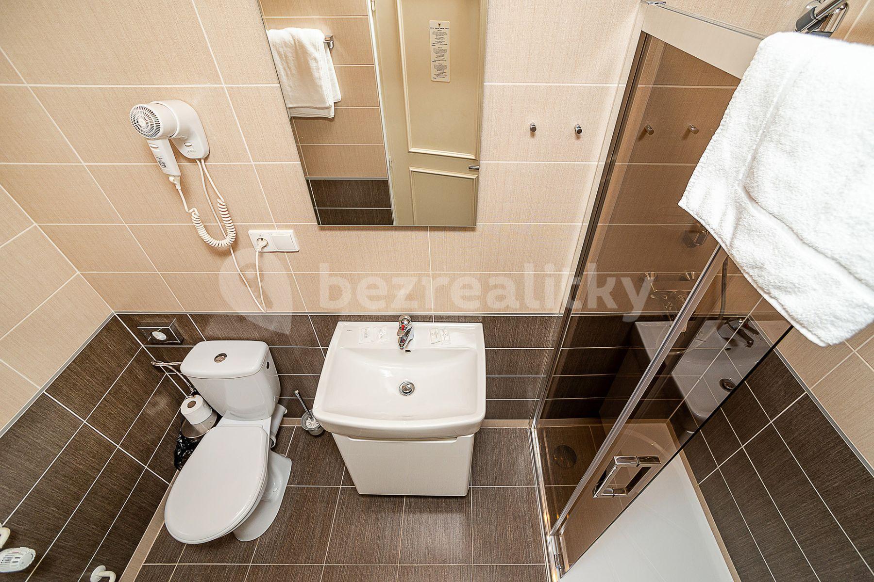 Pronájem bytu 1+kk 27 m², Americká, Praha, Praha