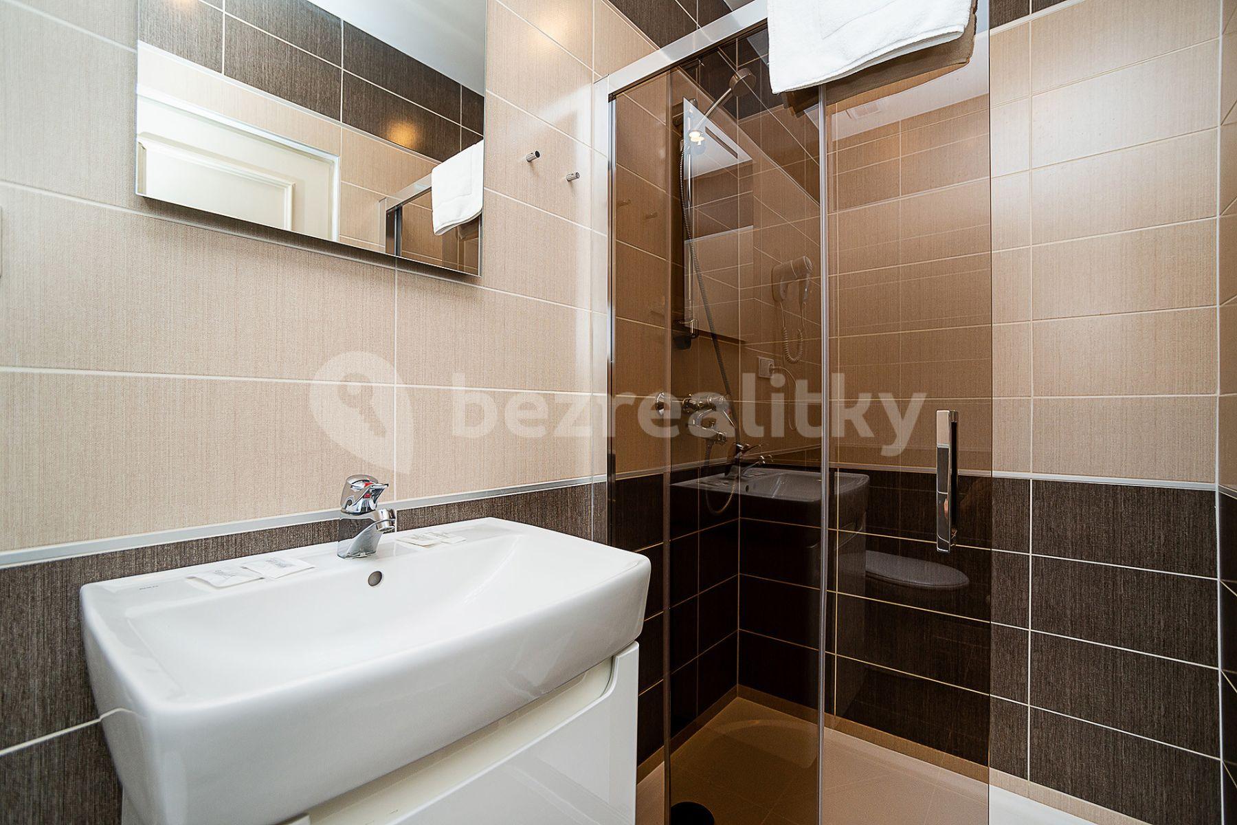 Pronájem bytu 1+kk 27 m², Americká, Praha, Praha