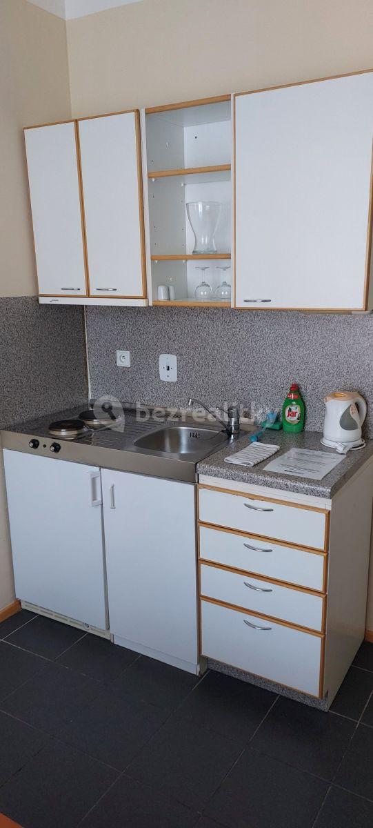 Pronájem bytu 1+kk 27 m², Americká, Praha, Praha