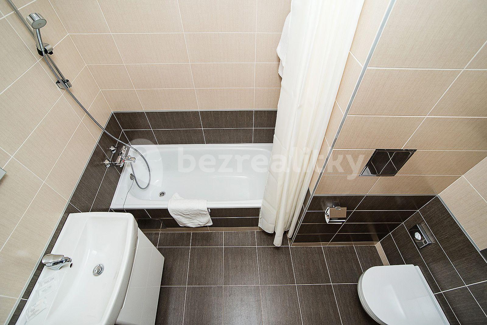 Pronájem bytu 1+1 43 m², Americká, Praha, Praha