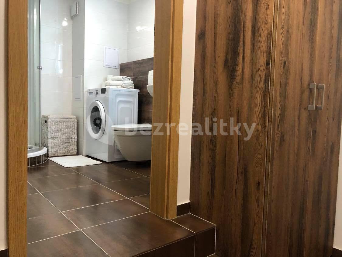 Pronájem bytu 1+kk 30 m², Rostislavova, Praha, Praha