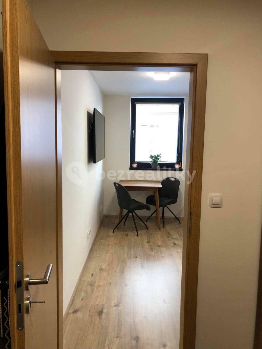 Pronájem bytu 1+kk 30 m², Rostislavova, Praha, Praha