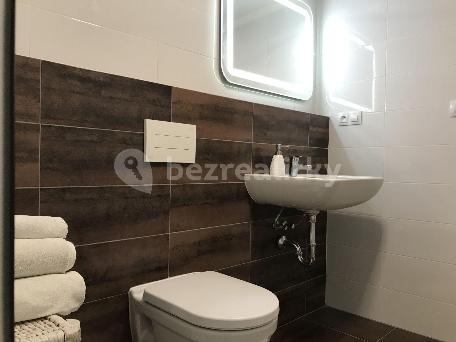 Pronájem bytu 1+kk 30 m², Rostislavova, Praha, Praha