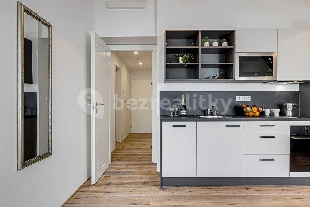 Pronájem bytu 1+kk 34 m², Kaizlovy sady, Praha, Praha