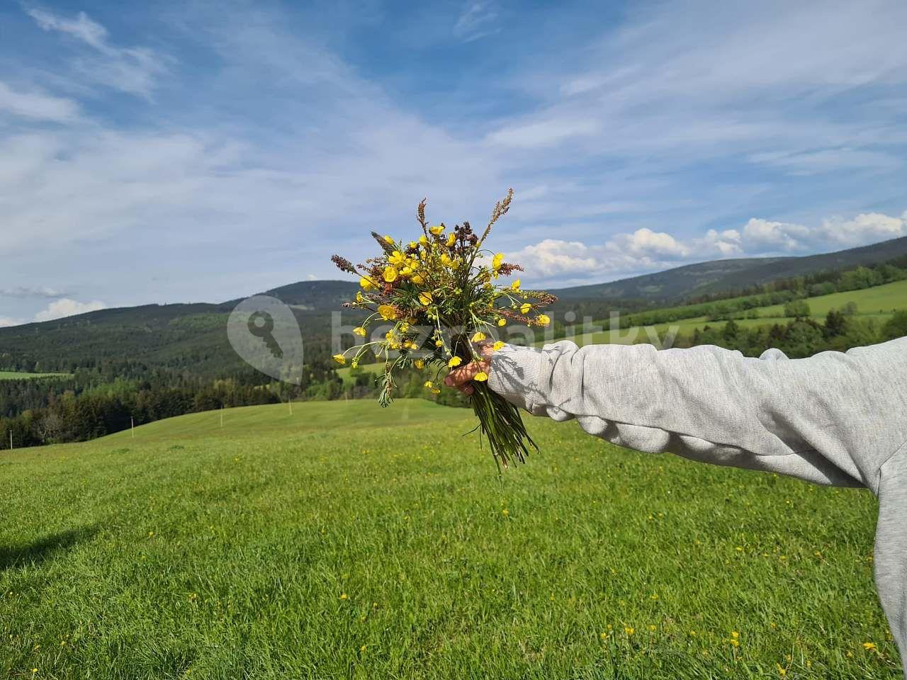 Pronájem chaty, chalupy, Červená Voda, Pardubický kraj