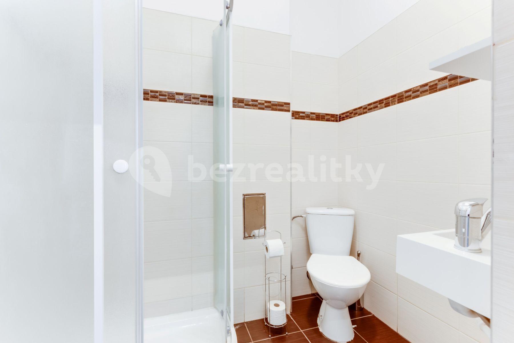 Pronájem bytu 1+kk 55 m², Lublaňská, Praha, Praha