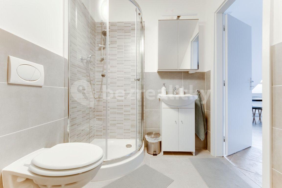 Pronájem bytu 1+kk 55 m², V Tůních, Praha, Praha