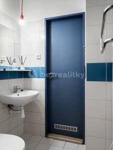 Pronájem bytu 1+kk 24 m², Cejl, Brno, Jihomoravský kraj