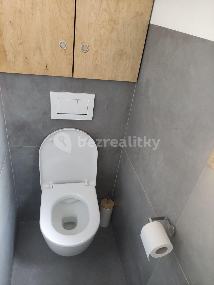 Pronájem bytu 2+1 65 m², Plajnerova, Praha, Praha