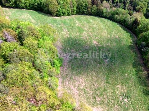 Prodej pozemku 12.000 m², Stříbrná Skalice, Středočeský kraj