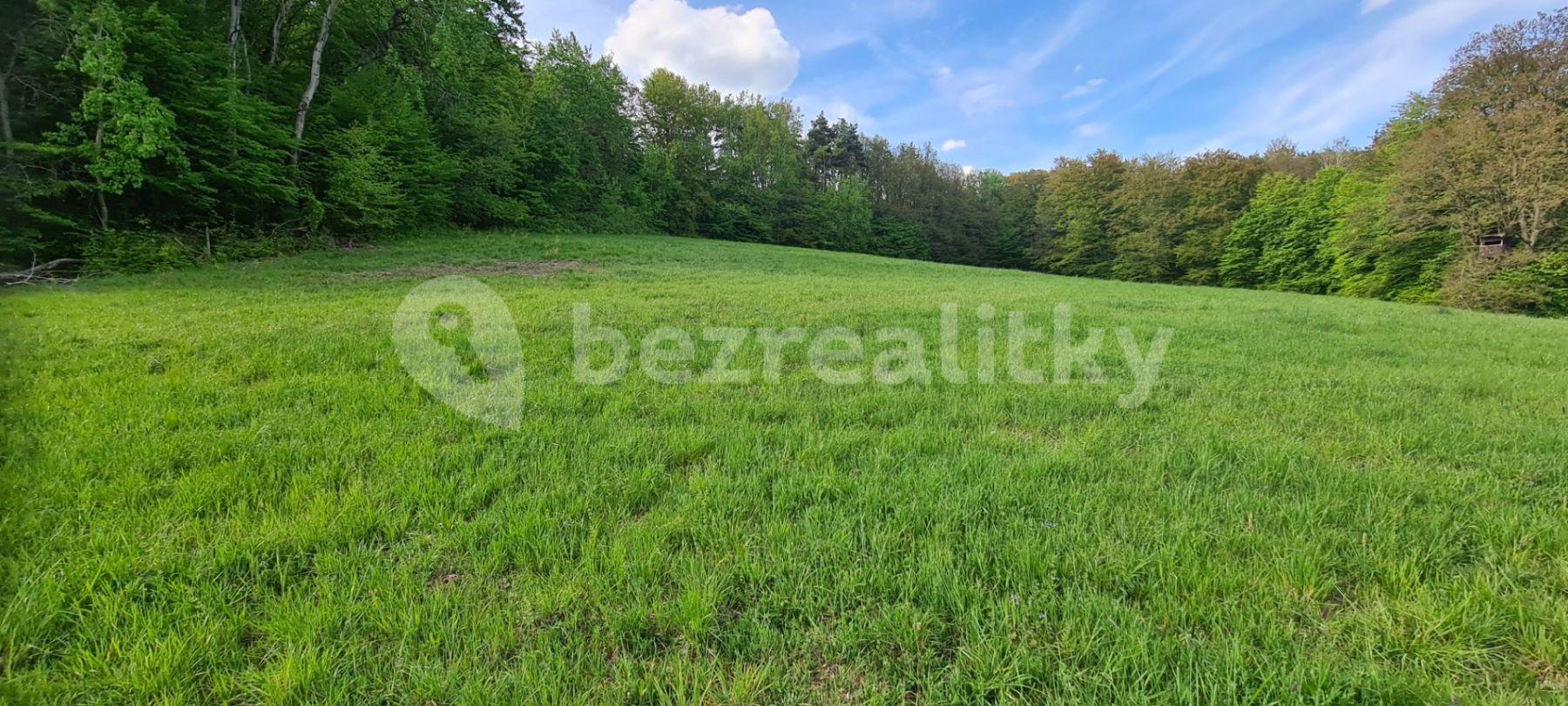 Prodej pozemku 12.000 m², Stříbrná Skalice, Středočeský kraj