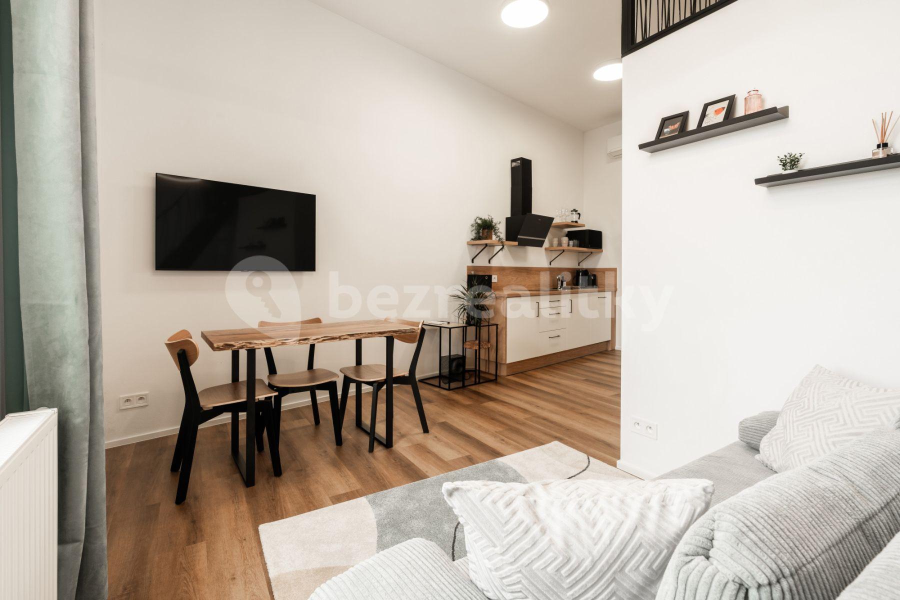 Pronájem bytu 1+kk 35 m², Vlhká, Brno, Jihomoravský kraj