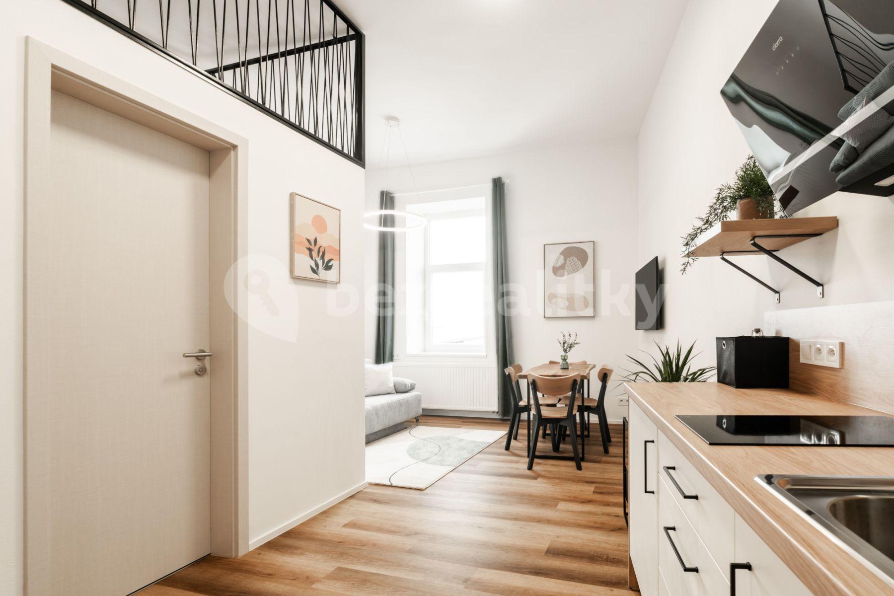 Pronájem bytu 1+kk 35 m², Vlhká, Brno, Jihomoravský kraj