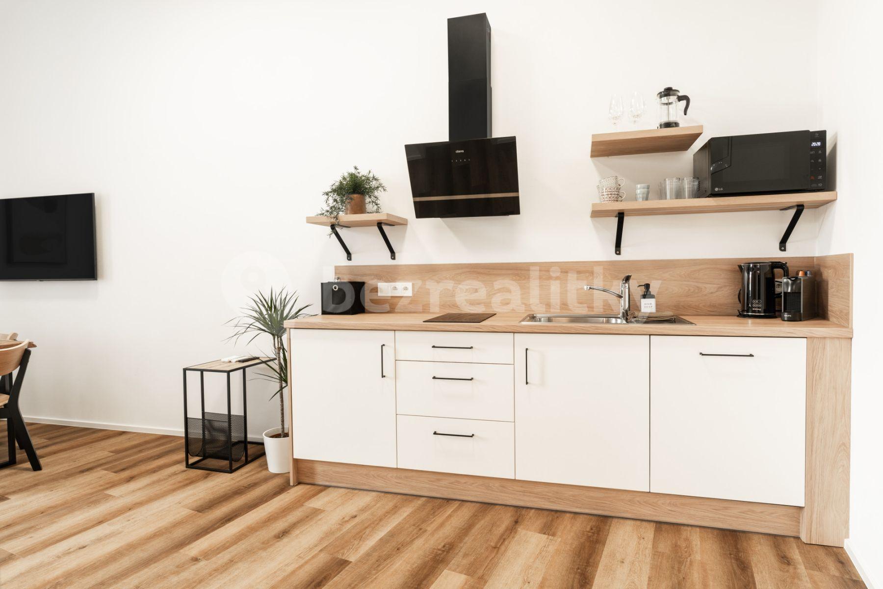 Pronájem bytu 1+kk 35 m², Vlhká, Brno, Jihomoravský kraj