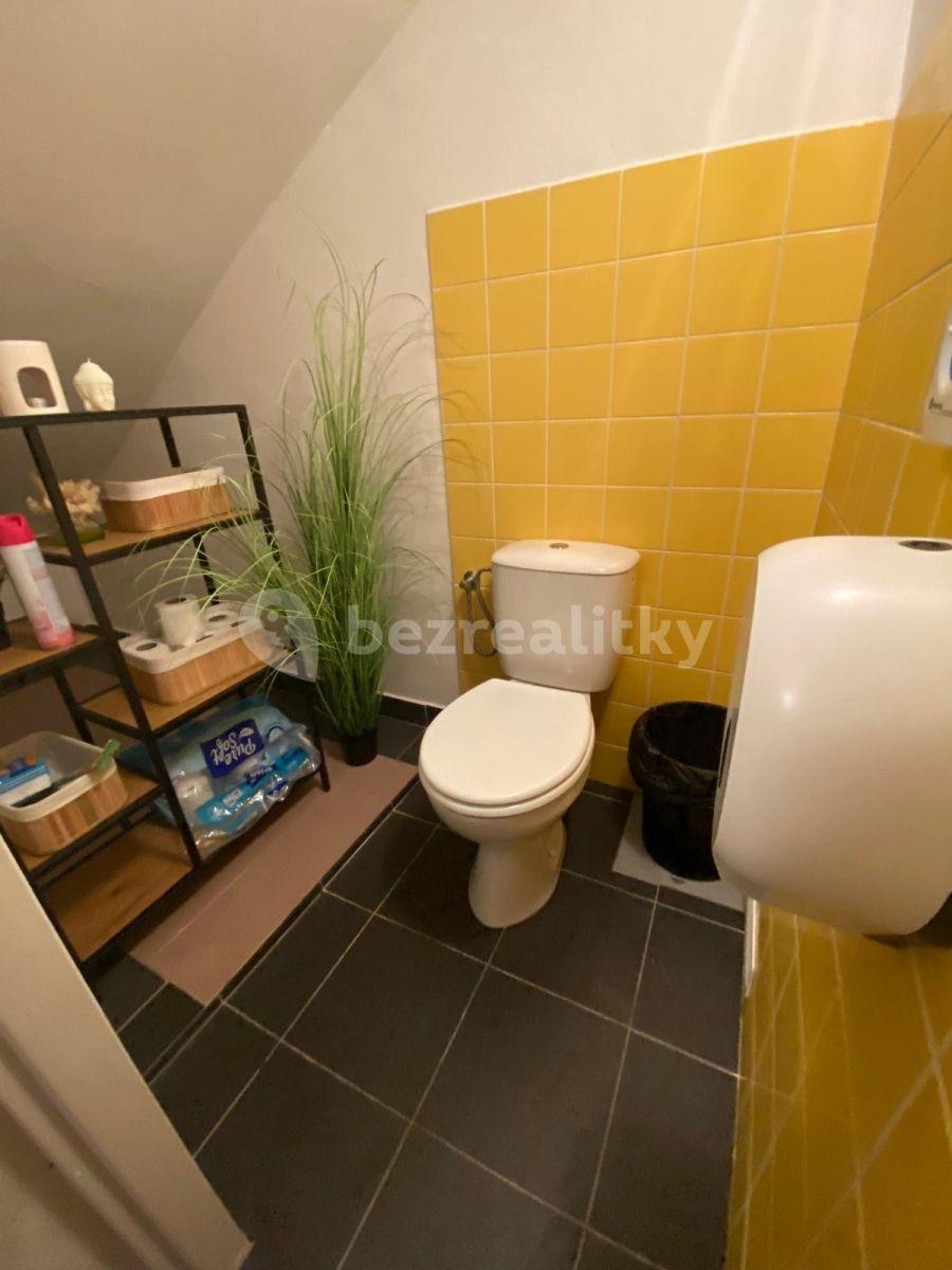 Pronájem nebytového prostoru 95 m², Spytihněvova, Praha, Praha