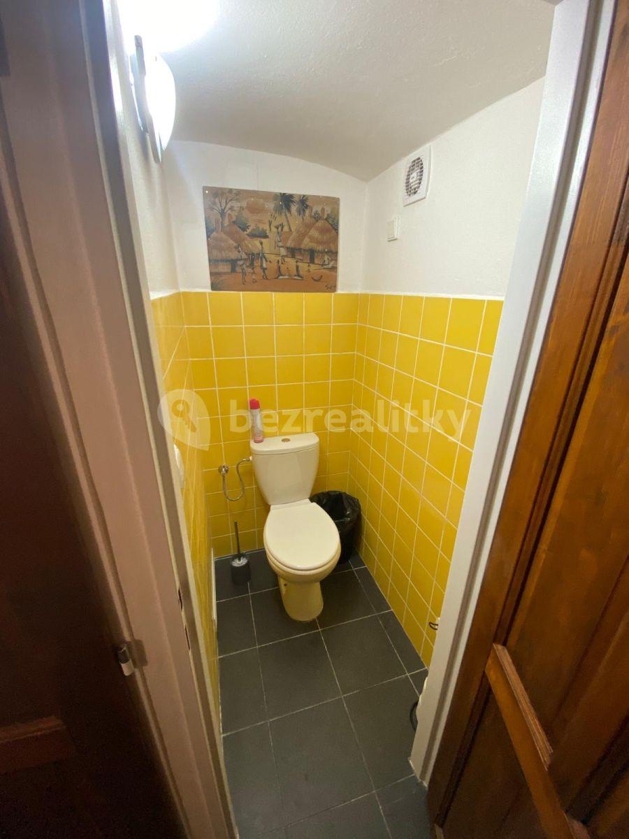 Pronájem nebytového prostoru 95 m², Spytihněvova, Praha, Praha