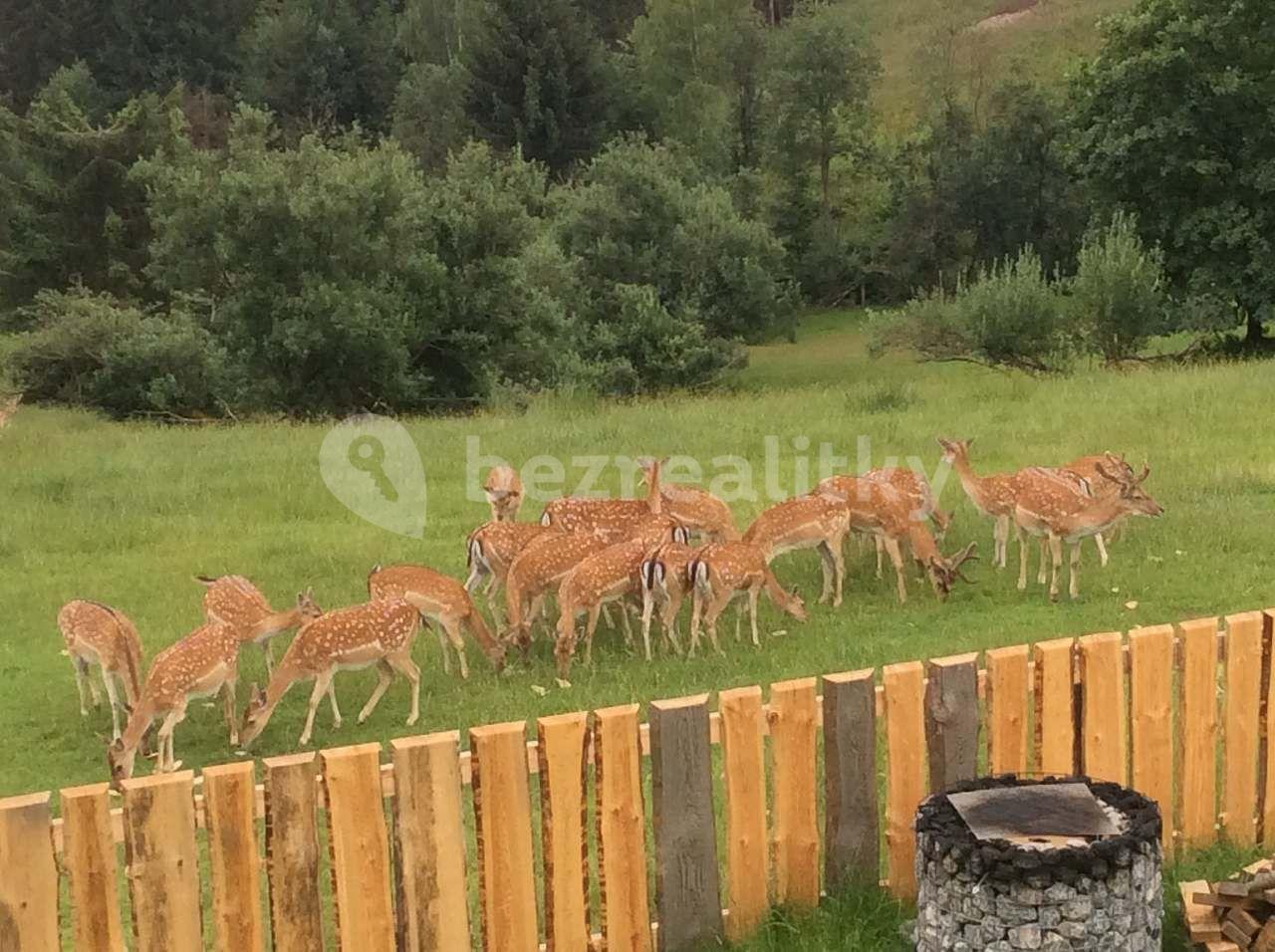 Pronájem chaty, chalupy, Mosty u Jablunkova, Moravskoslezský kraj