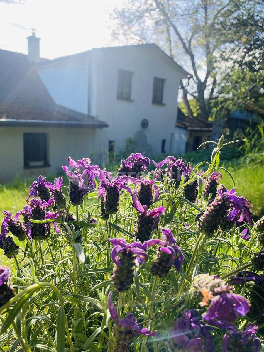 Pronájem chaty, chalupy, Klopina, Olomoucký kraj