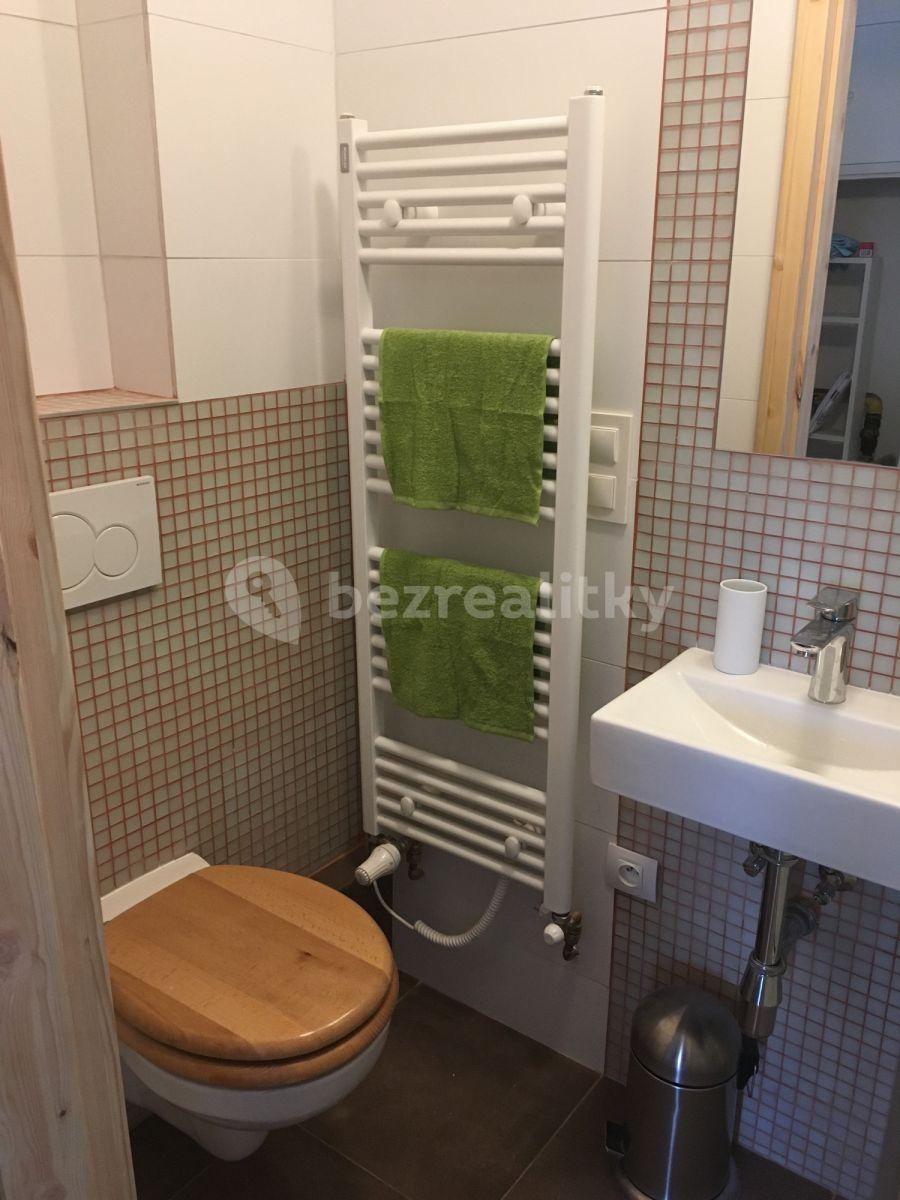 Pronájem bytu 1+kk 32 m², Bělohorská, Praha, Praha