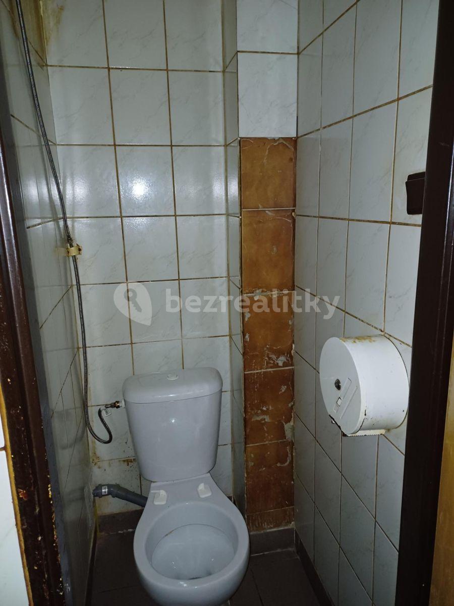 Pronájem nebytového prostoru 170 m², Žerotínova, Praha, Praha