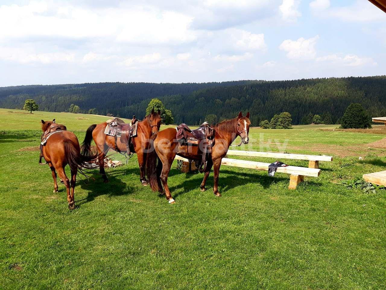 Pronájem chaty, chalupy, Český Jiřetín, Ústecký kraj