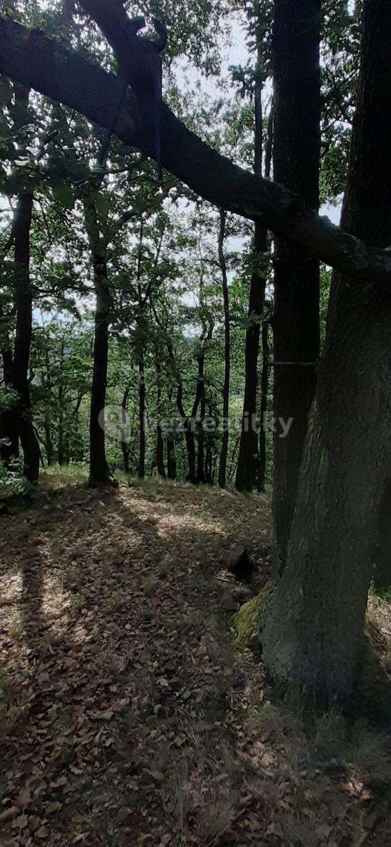 Prodej pozemku 8.759 m², Vráž, Středočeský kraj