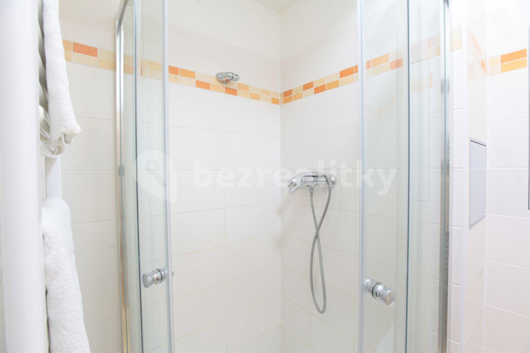 Pronájem bytu 1+kk 25 m², Freyova, Praha, Praha