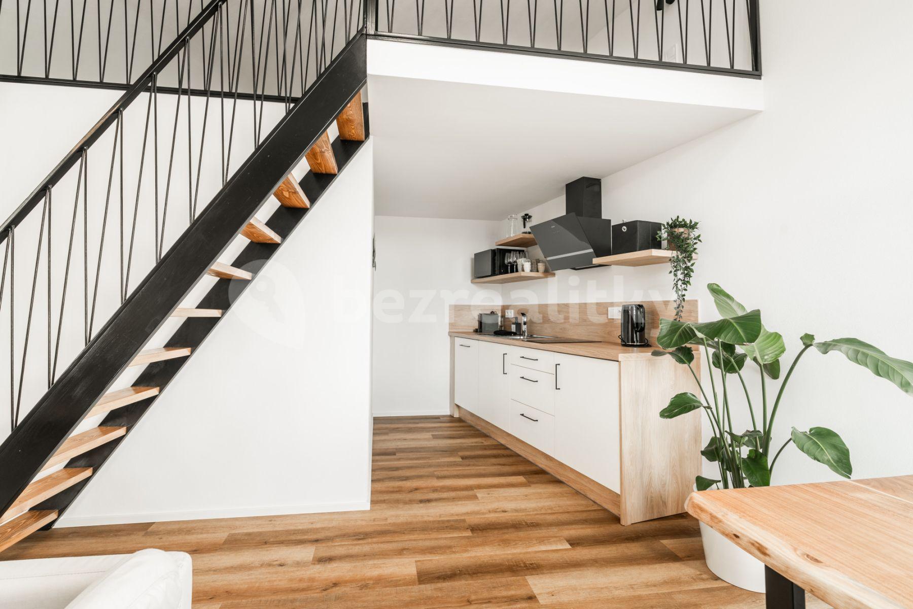 Pronájem bytu 1+kk 46 m², Vlhká, Brno, Jihomoravský kraj