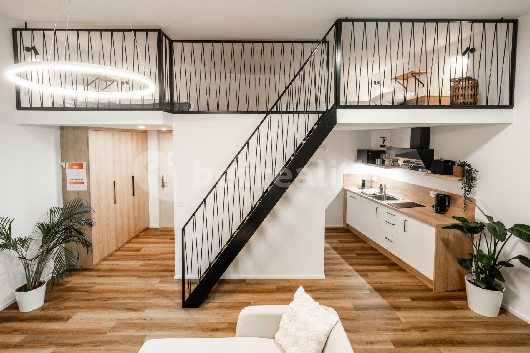 Pronájem bytu 1+kk 46 m², Vlhká, Brno, Jihomoravský kraj